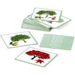 Imagier Arbres