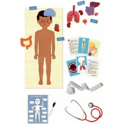 Au rythme de l'enfant: le corps humain