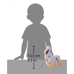 Âne à promener
