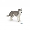 Figurine Husky de Sibérie