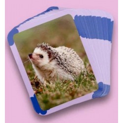 Flashcards Animaux