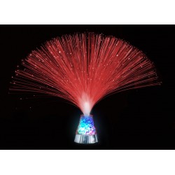 Fibres optiques en bouquet