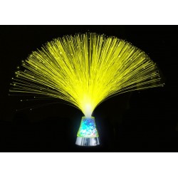 Fibres optiques en bouquet