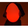 Oeuf lumineux