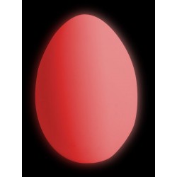 Oeuf lumineux