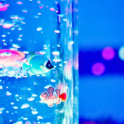 Colonne sensorielle à bulles 90 cm