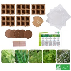 Coffret de 30 aromates bio