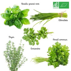 Coffret de 30 aromates bio
