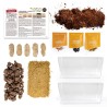 Lot de 2 vivariums