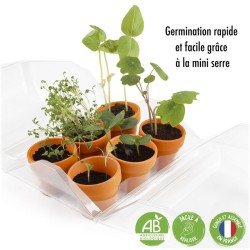 Mini serre 6 pots