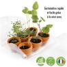 Mini serre 6 pots