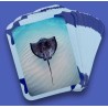 Flashcards Mers & océans