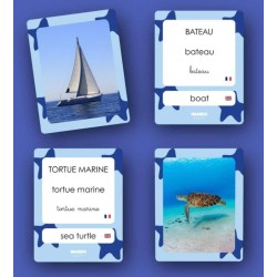 Flashcards Mers & océans