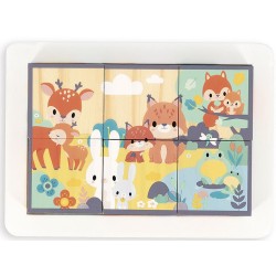 6 cubes animaux