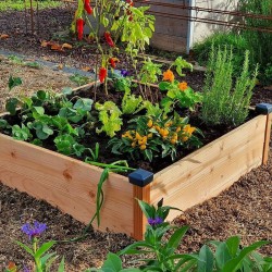 Potager bois