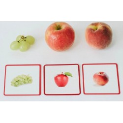 Mini-Mondy : Fruits & Légumes