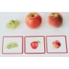 Mini-Mondy : Fruits & Légumes
