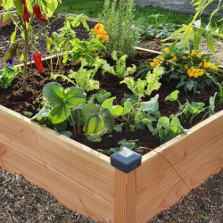 Potager bois
