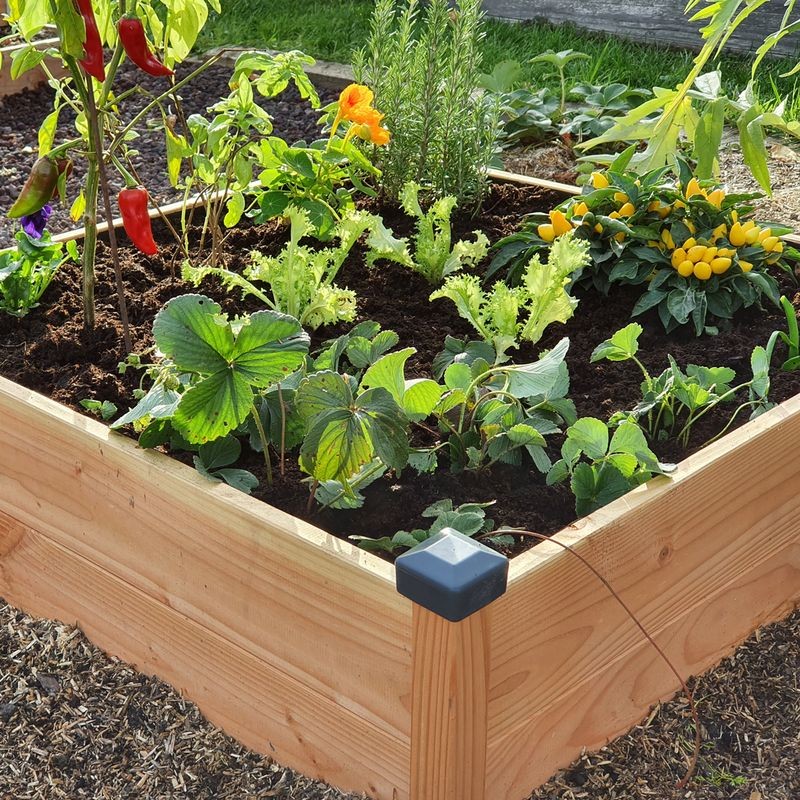 Potager bois