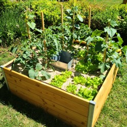 Bac potager avec composteur