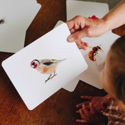 Mondy des Petits Curieux - La nature