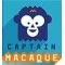 Captain Macaque